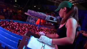 FNM 2022: ¿Y, cuánto pesa la manzana?