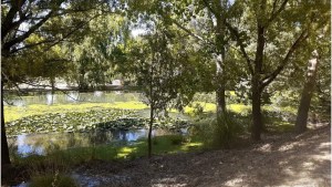 Polémica por la obra del nuevo camino de Piscicultura de Plottier