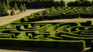 La Salamanca y el laberinto