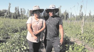 Una producción en familia