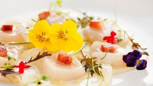 Conocé y experimentá la botánica gastronómica en Chos Malal