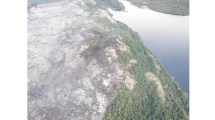 Imagen de 60 hectáreas ya fueron afectadas por el incendio en el Parque Nacional Los Alerces