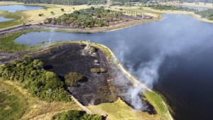¿Es prioridad el ambiente?