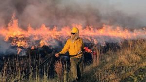 Corrientes arde: ayuda del exterior y donaciones, mientras las lluvias no alcanzan