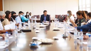 Tironeos políticos en la Legislatura de Neuquén por la nueva línea sucesoria