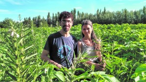 Honrar la tierra desde Valle Medio