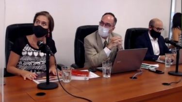 Martini, Repetto y Ravizzoli, el tribunal de juicio. (Zoom)