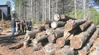 Los caminos que conduzcan a cada uno de los módulos también tendrán contenido. Foto: Chino Leiva