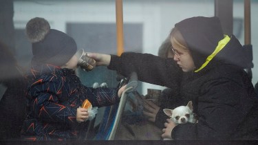 Una refugiado le da un sorbo de té a un niño mientras sostiene un perro pequeño, mientras huye del conflicto en un autobús en la frontera rumano-ucraniana, en Siret, Rumania. (AP Photo/Andreea Alexandru)