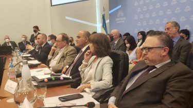 Guzmán y Manzur encabezaron la exposición en Diputados.