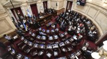 Imagen de La jugada de Cristina: de qué lado quedó cada senador de la región en la división del Frente de Todos
