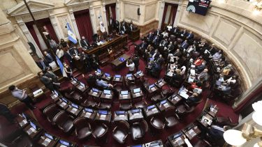 Con apoyo sindical, arranca en el Senado el debate sobre el impuesto a los evasores