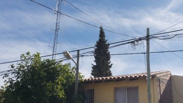 El animal se encontraba en barrio Villa Ceferino. Foto: Gentileza Twitter @MovilRigo