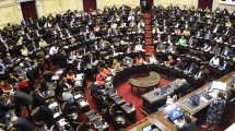 Imagen de Diputados tratará en una única sesión los proyectos de Boleta Única, HIV y Cannabis Medicinal