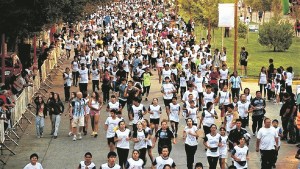 Corrida de Cipolletti: Una transmisión en vivo de lujo