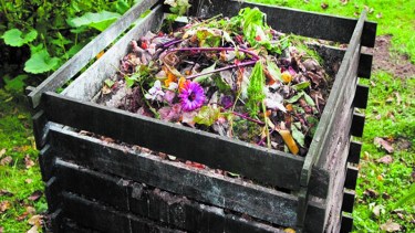 Residuos vegetales que pueden compostarse.