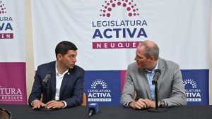 Calculan descuentos del 15 al 40% en energía con la tarifa Comahue