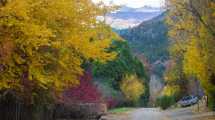 Imagen de San Martín de los Andes se viste de otoño y brilla en estas fotos