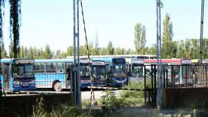 Transporte escolar en Río Negro: más de 600 millones en juego y una empresa que nunca deja de ganar