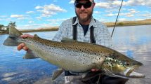 Imagen de “Traé el champagne”: prometieron brindar si picaba una buena trucha en el Limay Medio y mirá lo que pasó