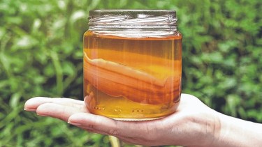 Se trata de una bebida fermentada de ligero sabor ácido obtenida a base de té endulzado.