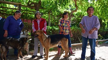  Las cuatro hermanas, en una breve pausa de un día que comienza a las 6 de la mañana, y listas para la foto. Fotos: Emiliana Cantera.