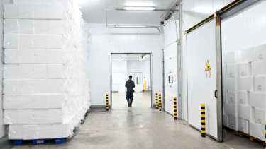 La planta de Piedra del Águila ya exportó hacia Chile 300 toneladas de truchas