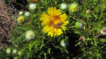 Imagen de Plantas autóctonas: las zonas fitogeográficas del país