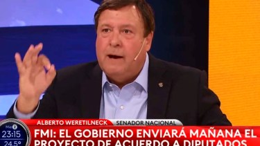 El senador rionegrino en el programa "A dos voces", por TN.