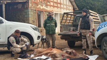 En uno de los controles en la ruta provincial 80 se secuestró ciervos cazados de manera ilegal. Foto: Gentileza