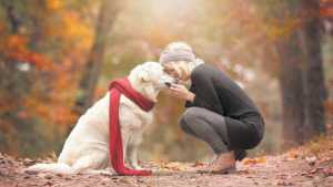 Claves para potenciar las defensas en perros y gatos