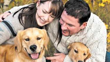 “Hoy nuestros perros y gatos son parte del núcleo afectivo más íntimo", dice la petición. 