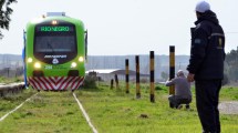 Imagen de La nueva gestión del Tren Patagónico quiere dos frecuencias entre Viedma y Bariloche