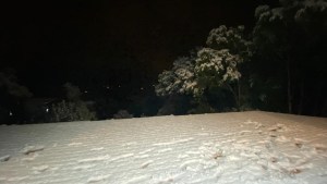 Llegó la nieve a Bariloche