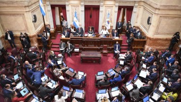 Fisuras en el interbloque del Frente de Todos del Senado de la Nación. 