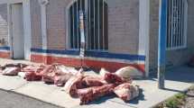 Imagen de Secuestran en Paso Córdoba 700 kilos de carne que transportaban en una camioneta