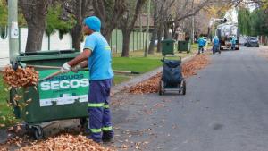 Poda: ya habilitaron a los vecinos a podar en Neuquén