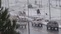 Imagen de Las rutas de Neuquén afectadas por el regreso de la ola polar