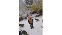 Imagen de Con 90 años aún cuida de sus animales en medio de la nieve en Neuquén