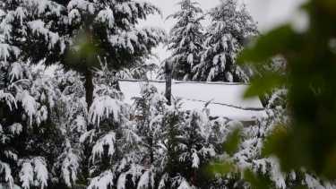 Volverá a nevar en la cordillera neuquina a partir del viernes. (Foto: Patricio Rodríguez)