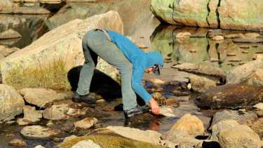 Las tareas de remediación del mallín consisten en la primera etapa en guiar la senda principal para evitar que las pisadas afecten el suelo. Foto: Gentileza