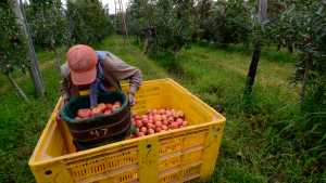 La Federación de Productores de Río Negro vende a la Provincia por unos 400 millones de pesos