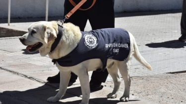 "Gringo" fue despedido con honores, después de diez años de actividad.-
