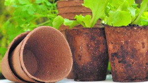 Macetas ecológicas: ¿querés aprender a hacerlas?