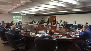 Gallimatías judicial