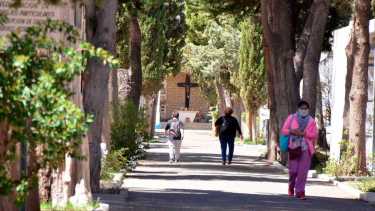 El hallazgo se produjo el 26 de abril en el cementerio central. Foto Yamil Regules.