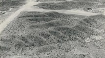 Imagen de Páginas de Neuquén: las bardas, un localismo al modo neuquino