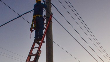 La zona rural de Villa Regina es escenario de un robo de más de 200 metros de cable. (Foto Néstor Salas)