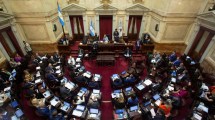 Imagen de Con el voto de Weretilneck, el oficialismo logra aprobar el «blanqueo» para pagarle al FMI