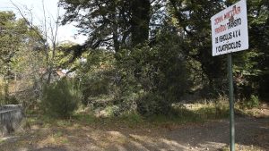 Historia de las tierras de Bariloche que se disputan el Ejército y una comunidad mapuche
